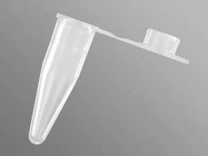 PCR tubes with domed caps AXYPCR02DA