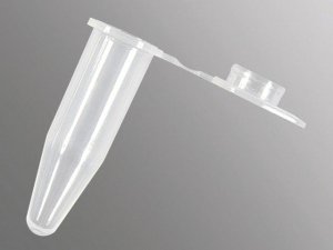 PCR tubes with flat caps AXYPCR05A
