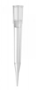 Pipette filter tips AXYTF350RS