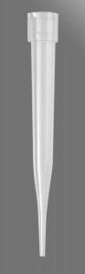 Pipette tips AXYT1536R