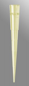 Pipette tips for Eppendorf pipettors AXYTE204YRS