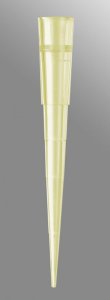 Pipette tips for Eppendorf pipettors AXYTE204YR