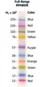 Amersham ECL Rainbow Marker - Full range GERPN800E