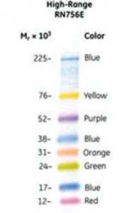 Amersham ECL Rainbow Marker - Full range GERPN756E