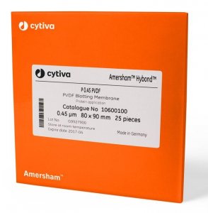 Amersham Hybond LFP Western blotting membrane sandwich, PVDF GE10600123