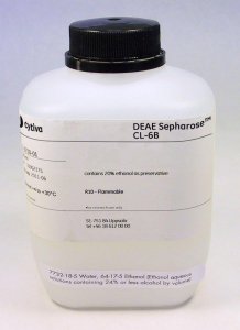 DEAE-Sepharose CL-6B GE17-0710-01