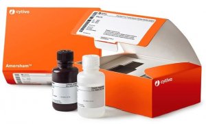 ECL Detection Reagents GERPN2105