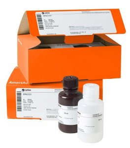 ECL Prime Western Blotting Detection Reagent GERPN2236