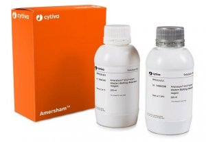 ECL Start Western Blotting Detection Reagent GERPN3244