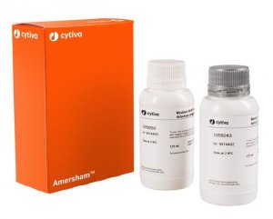 ECL Western Blotting Reagents GERPN2106