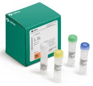 Genomiphi V2 DNA Amplification Kit GE25-6600-32
