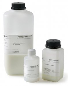 Glutathione Sepharose 4 Fast Flow GE17-5132-01