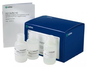 GST Buffer Kit GE28-9523-61