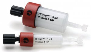 HiTrap Protein A High Performance GE29-0485-76