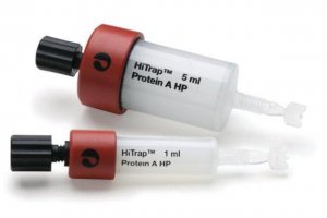 HiTrap Protein A High Performance GE17-0403-03