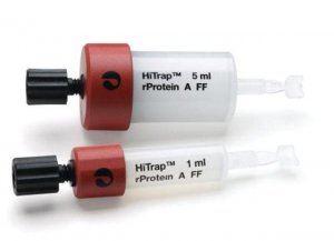 HiTrap rprotein A Fast Flow GE17-5079-01