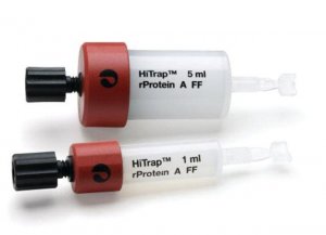 HiTrap rprotein A Fast Flow GE17-5080-01