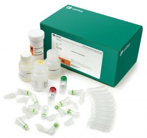 illustra Bacteria Mini (250) GE28-9042-59