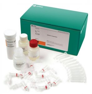 illustra Blood Mini , 250 GE28-9042-65