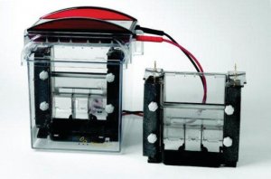 MiniVe Vertical Electrophoresis System GE80-6418-77