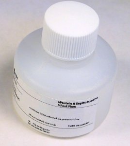 nProtein A Sepharose 4 Fast Flow GE17-5280-04