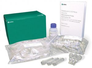 ProbeQuant G-50 Micro Columns GE28-9034-08
