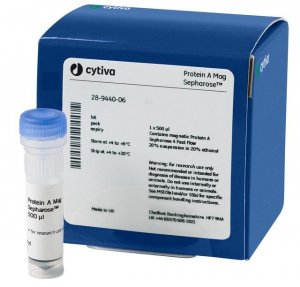 Protein A Mag Sepharose GE28-9440-06