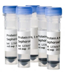 Protein A Mag Sepharose Xtra GE28-9670-62