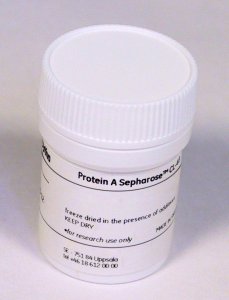Protein A Sepharose Cl-4B GE17-0963-03