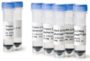Protein G Mag Sepharose Xtra GE28-9670-70