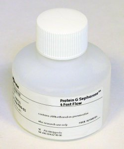 Protein G Sepharose 4 Fast Flow GE17-0618-02
