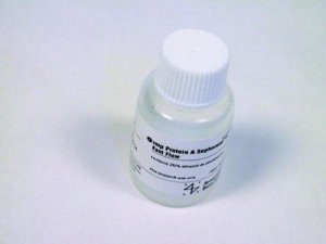 rmp Protein A Sepharose Fast Flow GE17-5138-01
