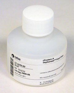 rProtein A Sepharose Fast Flow GE17-1279-03