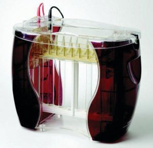 SE 600 Ruby Standard Dual Cooled Vertical Unit GE80-6479-57