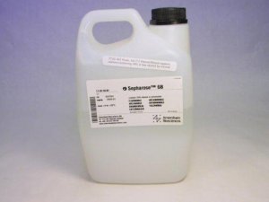 Sepharose 6B GE17-0110-01