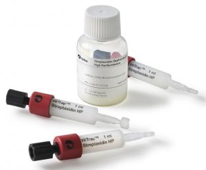 Streptavidin Sepharose High Performance GE17-5113-01