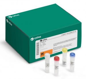 TempliPhi 500 Amplification Kit GE25-6400-50