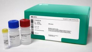 TempliPhi Large Construct Kit GE25-6400-80