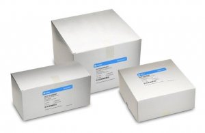 Whatman quadrant folded cellulose fiber filter papers WHA10380406