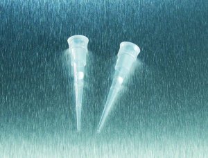 Sorenson low binding aerosol barrier tips 