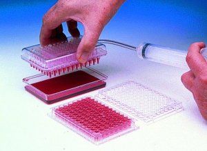 Vaccu-Pette/96 multiwell pipetter Z370800-1EA