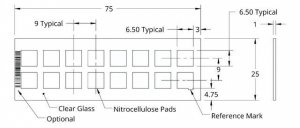 Grace Bio-Labs ONCYTE AVID nitrocellulose film slides GBL305116-20EA