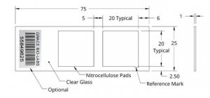 Grace Bio-Labs ONCYTE AVID nitrocellulose film slides GBL305002-20EA