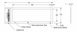 Grace Bio-Labs ONCYTE AVID nitrocellulose film slides GBL305177-20EA