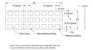 Grace Bio-Labs ONCYTE SuperNOVA nitrocellulose film slides GBL705124-20EA