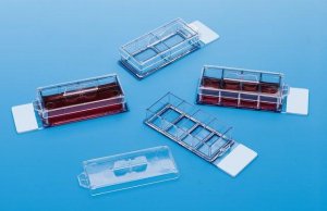 Nunc Lab-Tek II - CC2 Chamber Slide system 