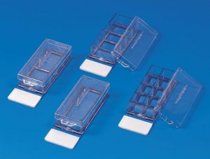 Nunc Lab-Tek II Chamber Slide system 