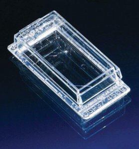 Nunc Lab-Tek II chambered coverglass 