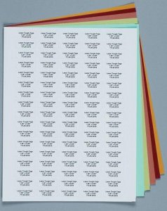 Laser Tough-Tags Z688363-1PAK