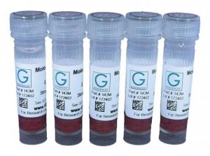 Molecular Grinding Resin Z742663-1EA